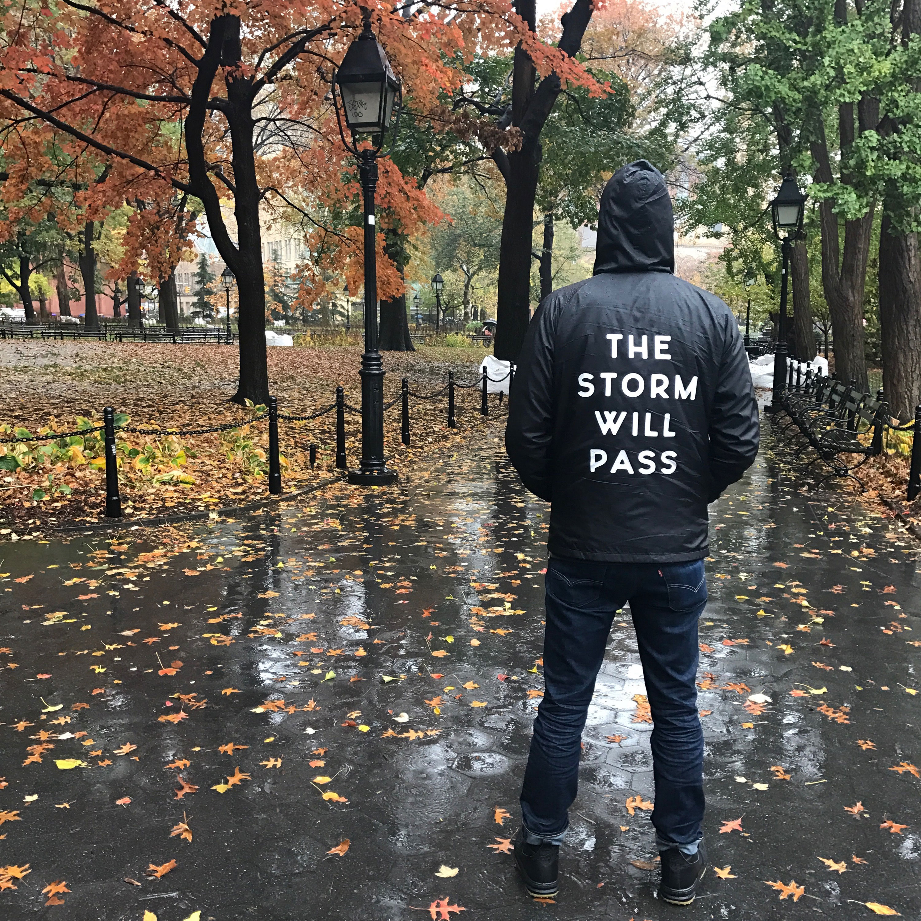 THE STORM WILL PASS jacket