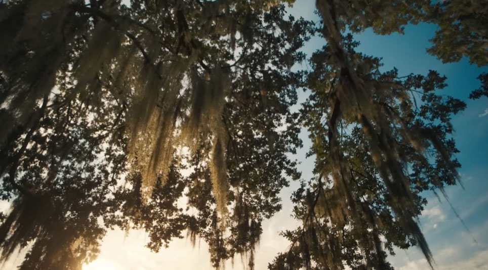 documentary screenshot